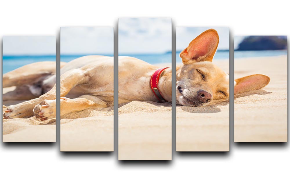 A beautiful 5 split panel canvas artwork featuring a relaxing Chihuahua dog, showcasing its adorable features and serene pose.