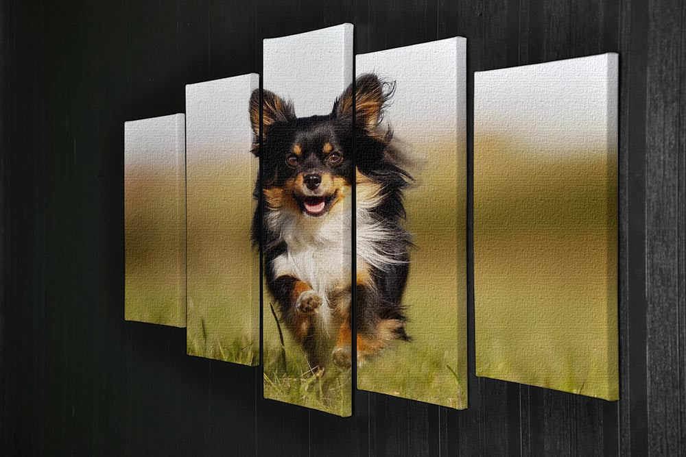 A vibrant 5-split canvas artwork featuring a Chihuahua dog running joyfully towards the camera in a lush green grass field.