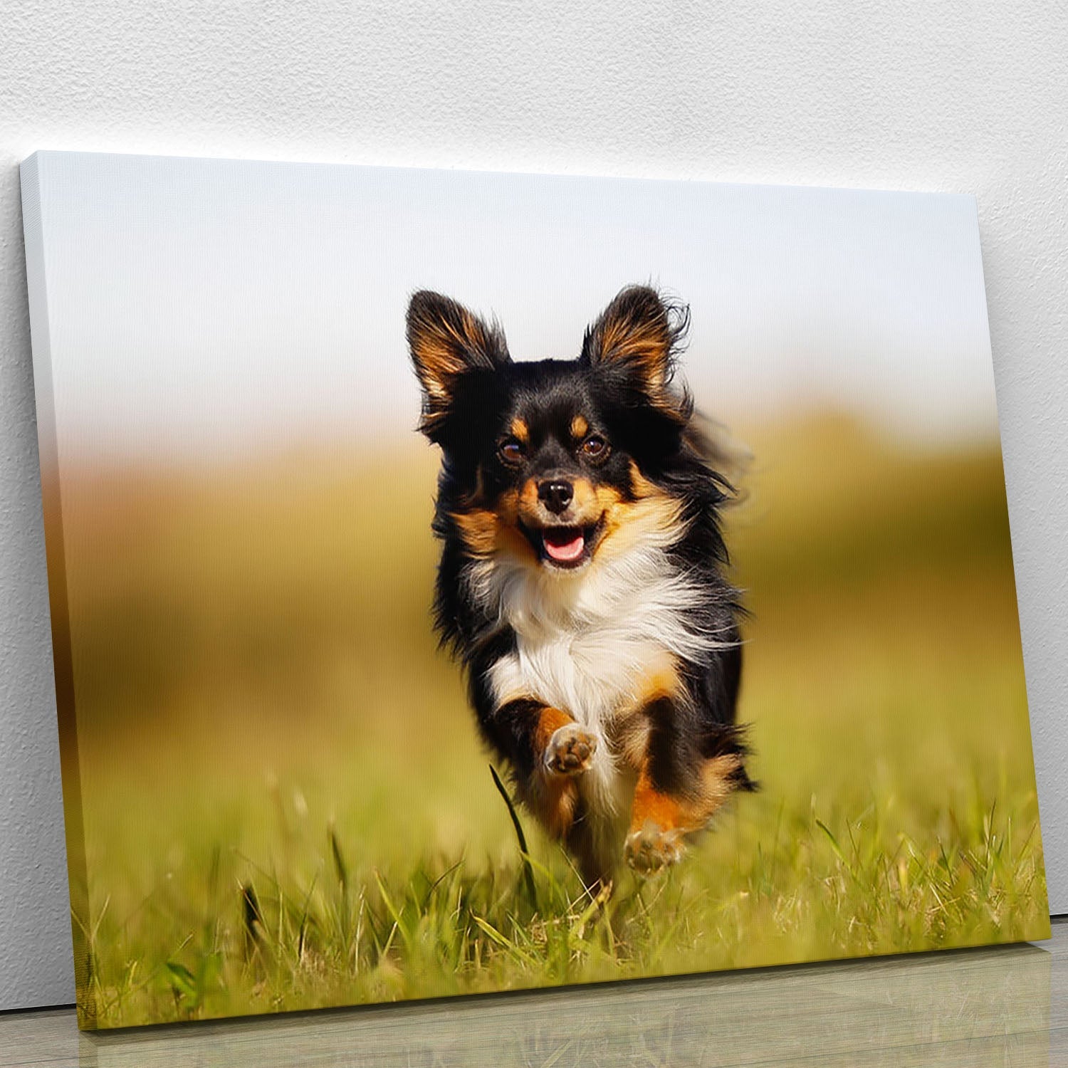 A vibrant canvas print of a Chihuahua dog running joyfully towards the camera in a lush green grass field, capturing the essence of playfulness.