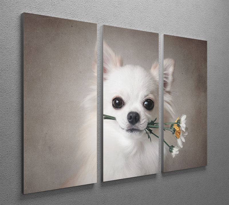 A beautiful 3-panel canvas print featuring a Chihuahua surrounded by colorful flowers, perfect for home decor.