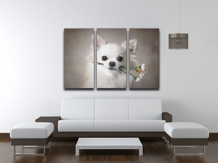 A beautiful 3-panel canvas print featuring a Chihuahua surrounded by colorful flowers, perfect for home decor.