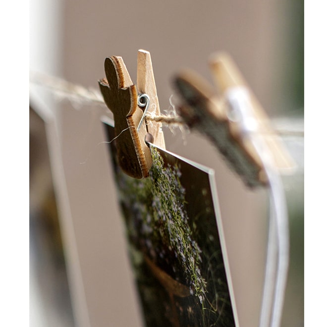 A set of 18 Christmas wood clips in various colors including gold and silver, perfect for holiday decorations and crafts.