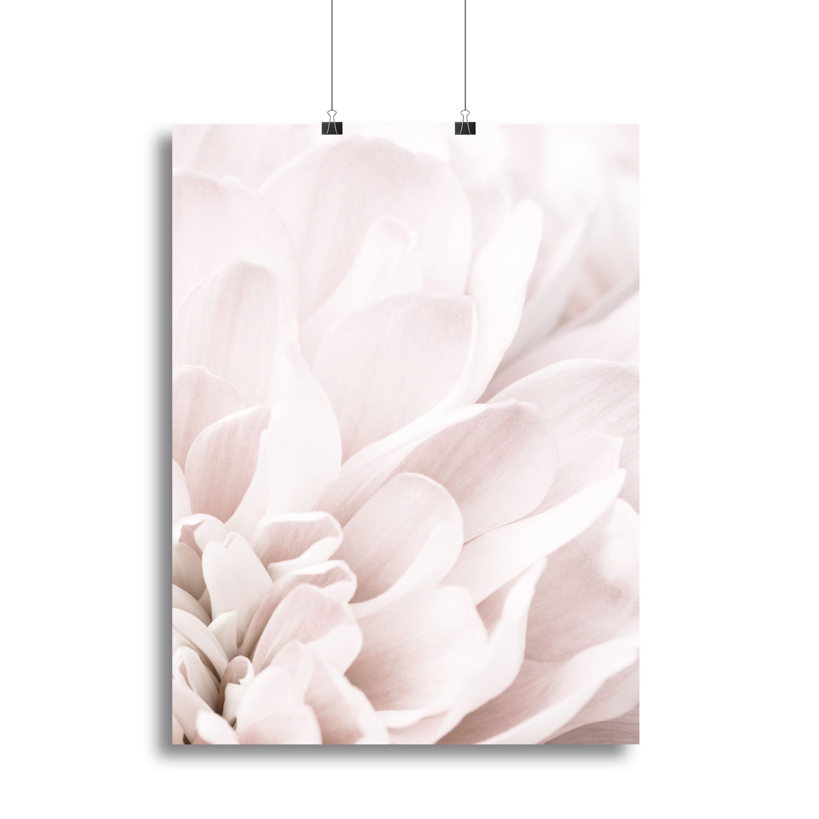 Chrysanthemum No 04 canvas print featuring vibrant colors and intricate floral details, perfect for home or office decor.