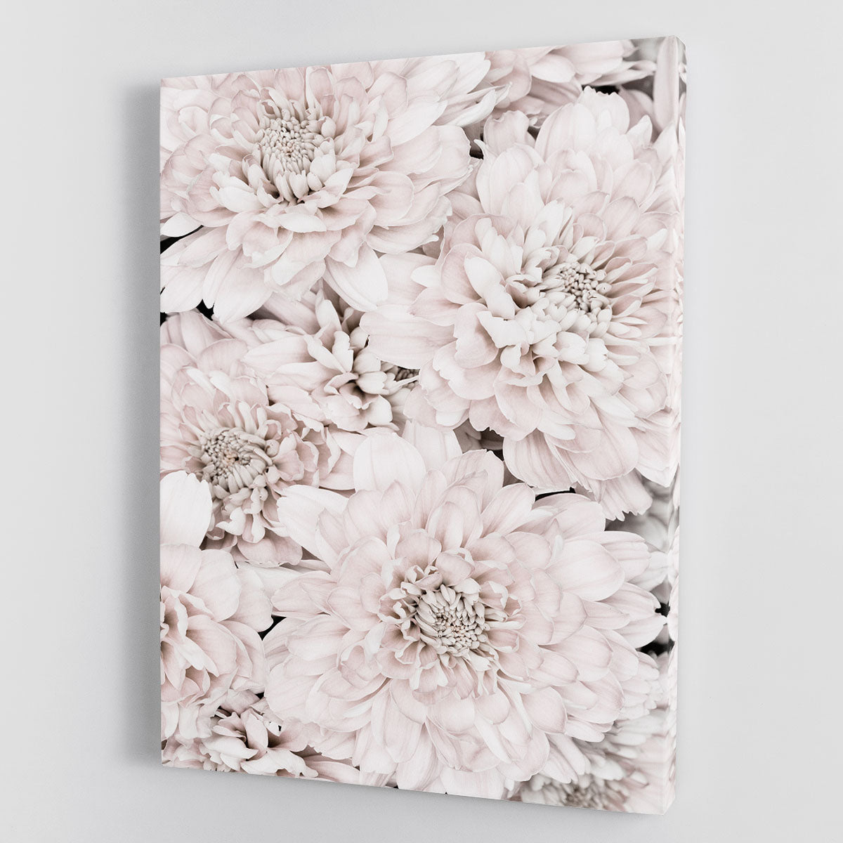 Chrysanthemum No 07 canvas print featuring vibrant floral design, perfect for home decor.