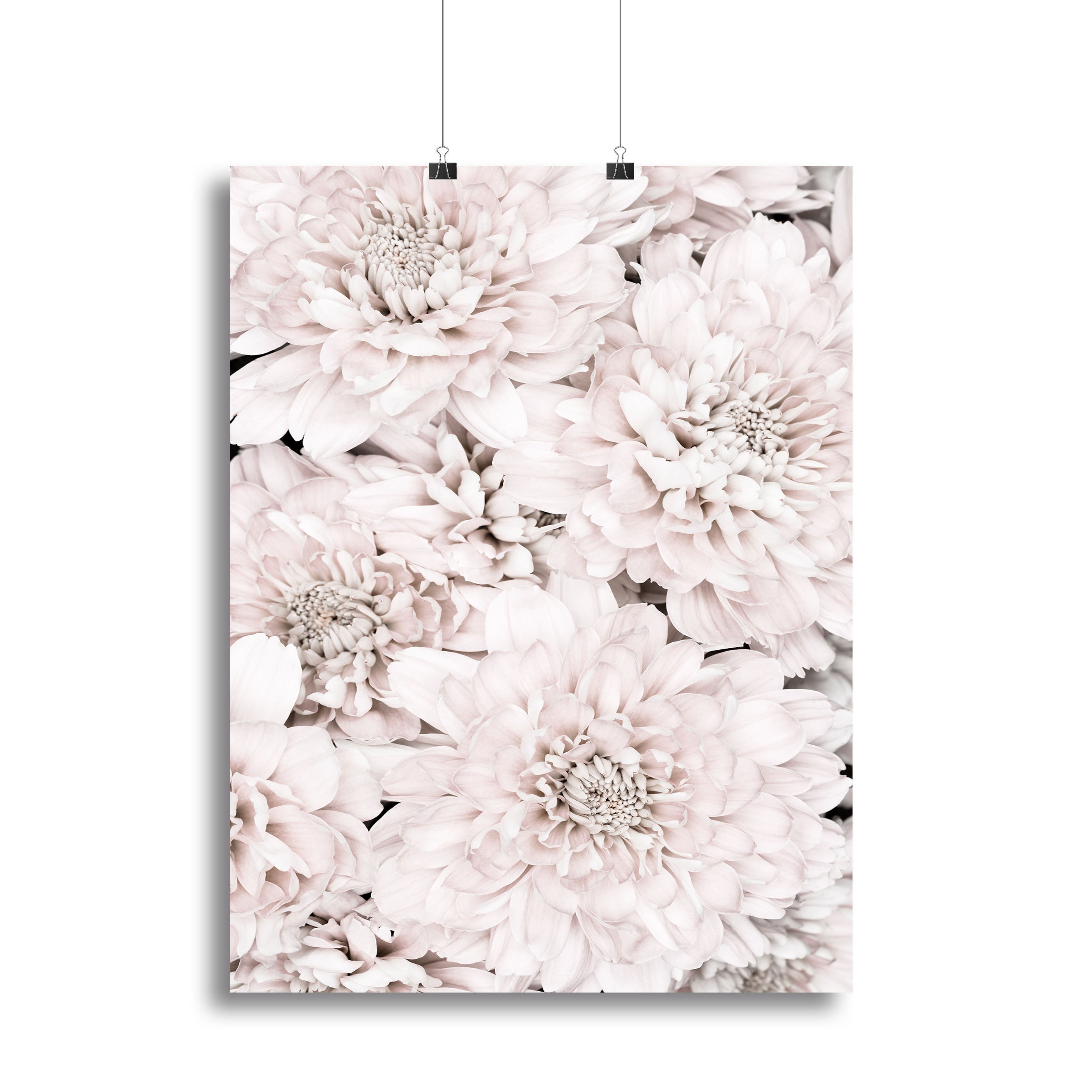 Chrysanthemum No 07 canvas print featuring vibrant floral design, perfect for home decor.