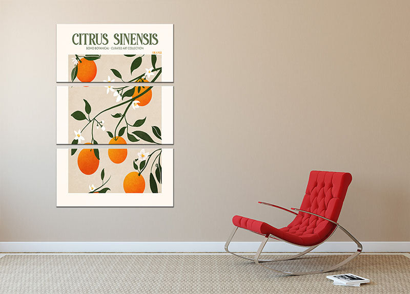 Citrus Sinensis 3 Split Panel Canvas Print showcasing vibrant colors and elegant design, perfect for home decor.