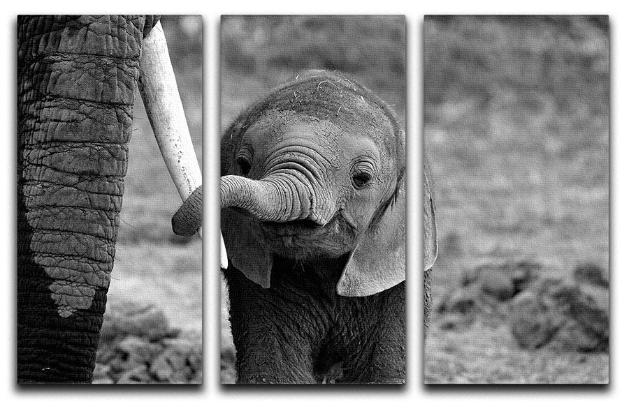 Close 3 Split Panel Canvas Print featuring vibrant designs, perfect for home decor.