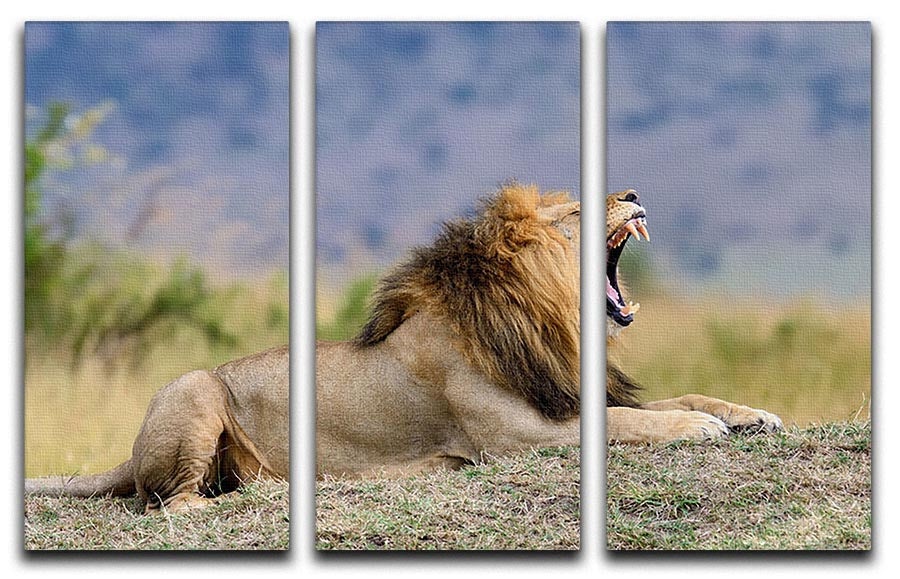 A stunning 3-panel canvas print featuring a close-up of a lion in the National Park of Kenya, showcasing its majestic features and natural beauty.