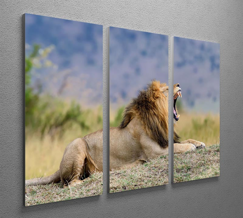 A stunning 3-panel canvas print featuring a close-up of a lion in the National Park of Kenya, showcasing its majestic features and natural beauty.