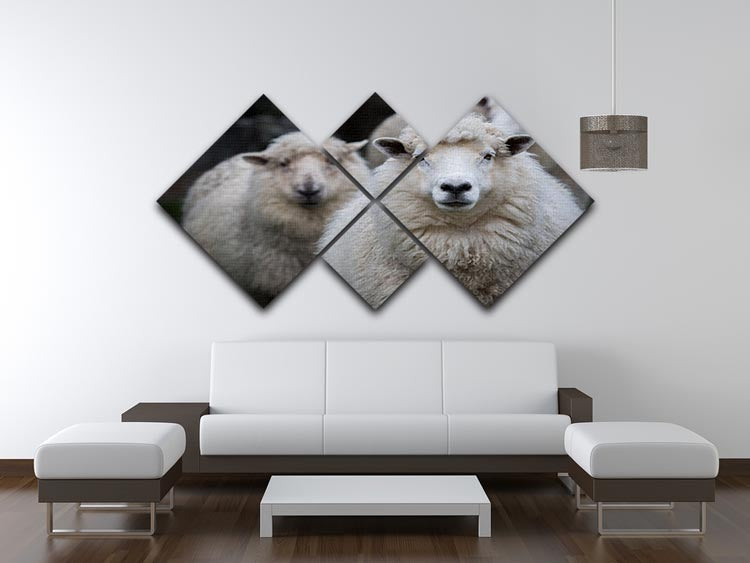 Close-up face of a New Zealand Merino sheep displayed in a 4-square multi-panel canvas artwork.