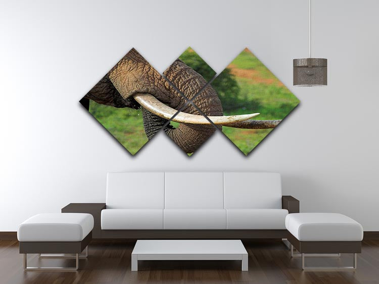 A close-up view of African elephant tusks displayed on a 4-square multi-panel canvas, showcasing intricate details and textures.