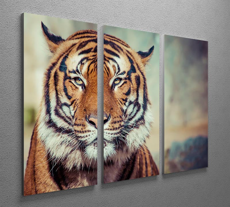 Close-up of a tiger's face on a 3-panel canvas print, showcasing intricate details and vibrant colors.