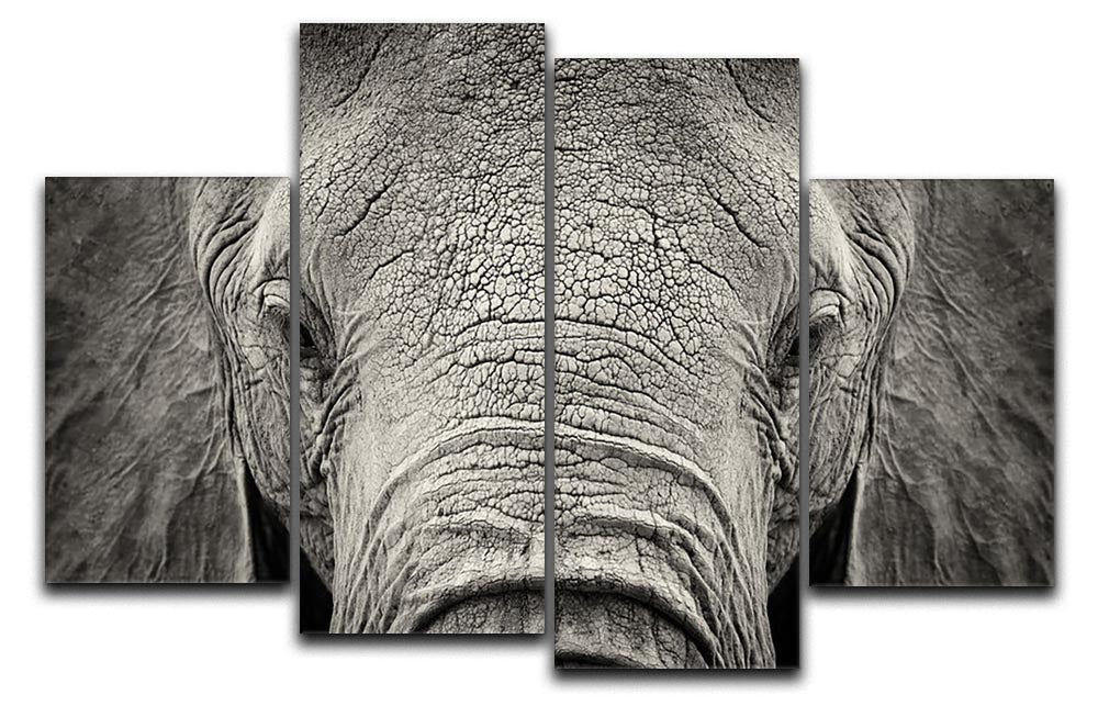 A beautiful close-up of an African elephant displayed on a 4-split canvas, showcasing intricate details and vibrant colors.
