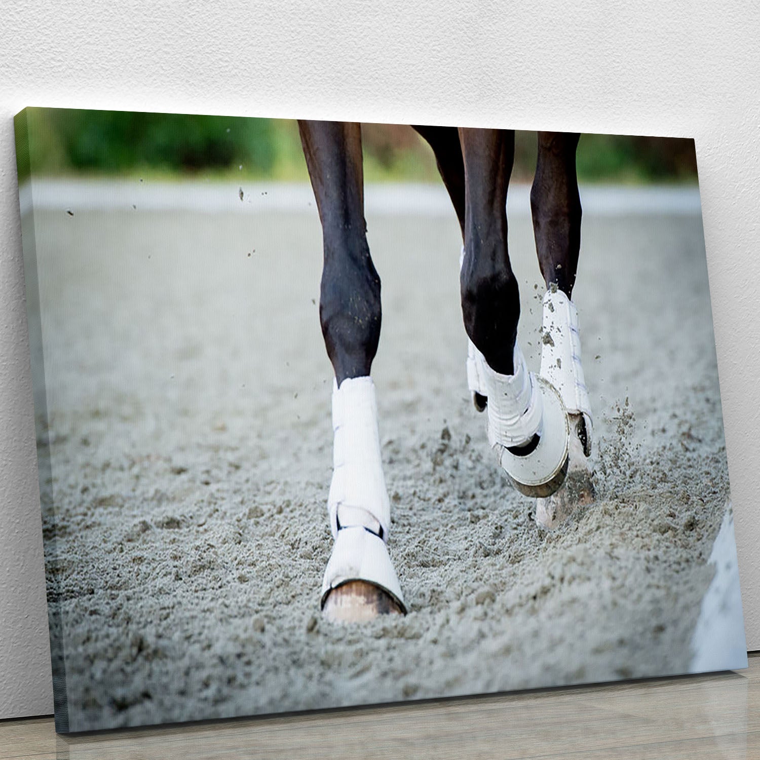 Closeup of horse hooves on a canvas print, showcasing intricate details and textures.