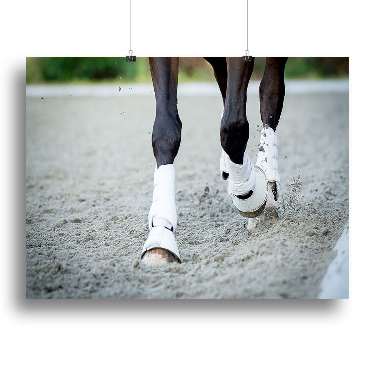 Closeup of horse hooves on a canvas print, showcasing intricate details and textures.