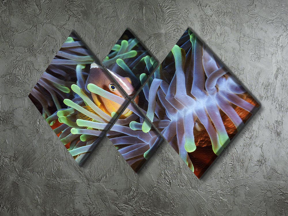 A vibrant 4-square canvas artwork featuring clownfish, showcasing bright colors and intricate details across four individual panels.