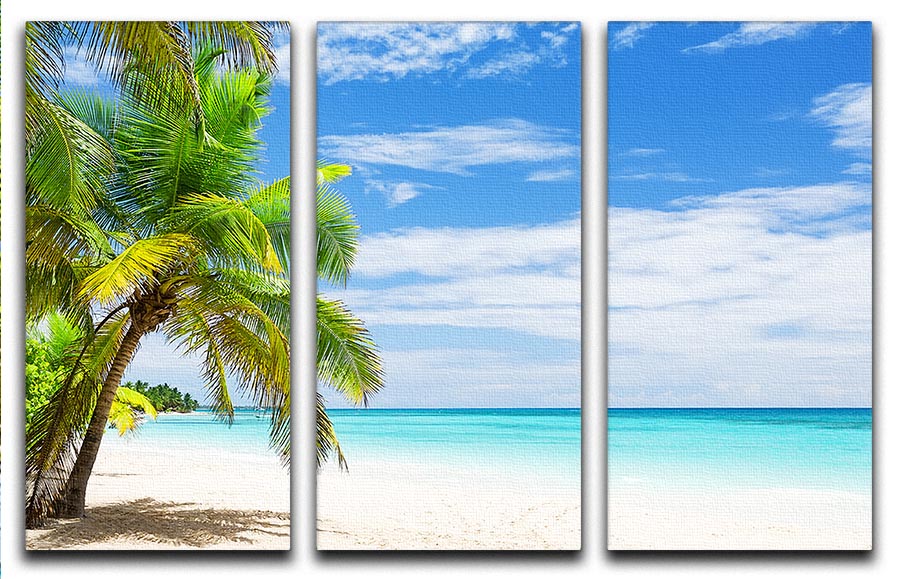 A beautiful 3-panel canvas print featuring coconut palm trees on a white sandy beach, perfect for home decor.