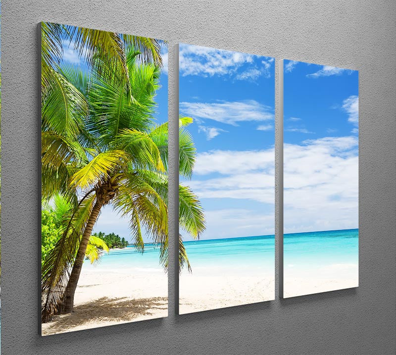 A beautiful 3-panel canvas print featuring coconut palm trees on a white sandy beach, perfect for home decor.