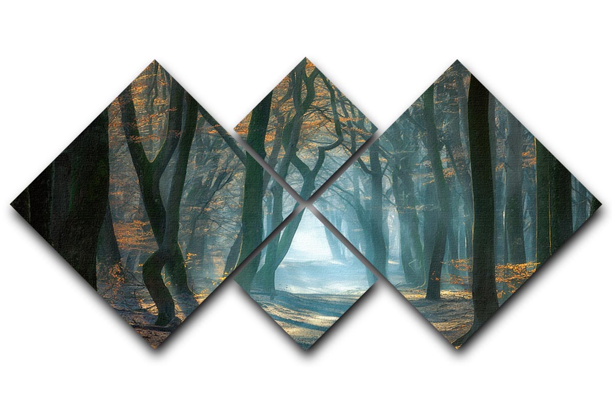 Cold Light 4 Square Multi Panel Canvas artwork featuring four equal square sections, beautifully arranged to create a cohesive image.