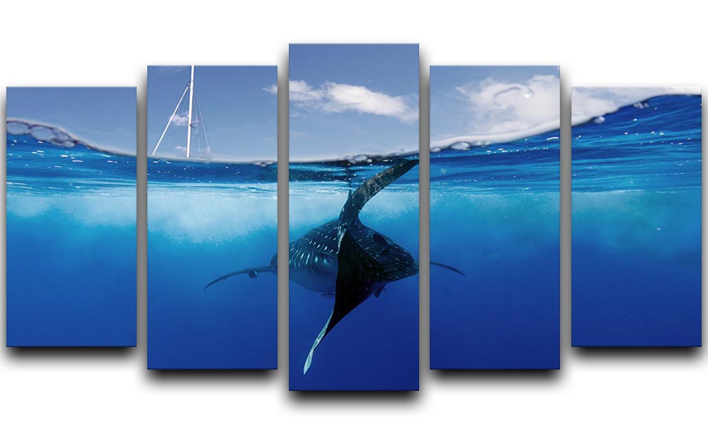 Collision Course 5 Split Panel Canvas artwork featuring a dynamic design across five panels, enhancing any interior space.