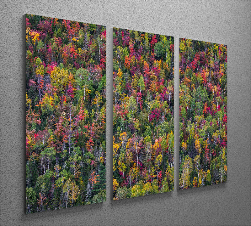 A vibrant 3-panel canvas print featuring a colorful abstract design, perfect for home or office decor.