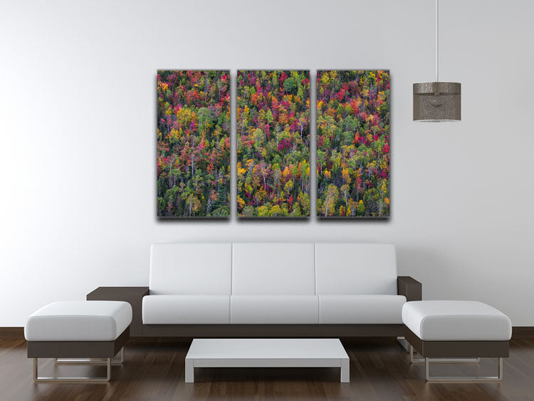 A vibrant 3-panel canvas print featuring a colorful abstract design, perfect for home or office decor.