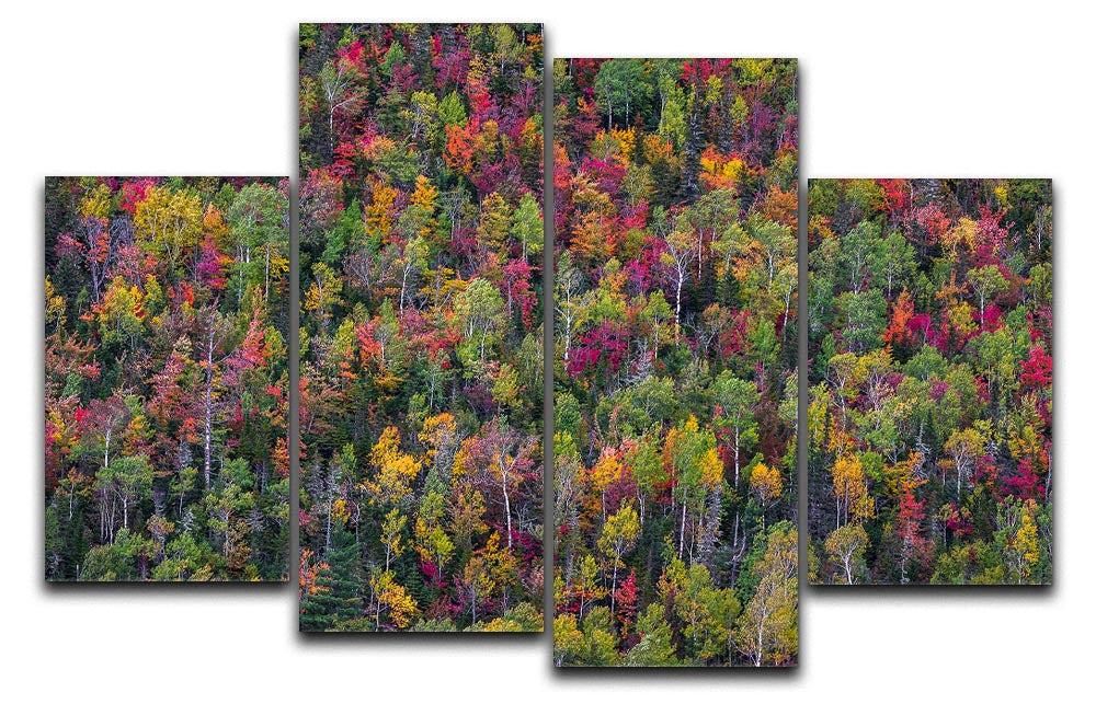 Color Palette 4 Split Panel Canvas artwork featuring vibrant colors and a dynamic design, divided into four equal sections for a multi-dimensional effect.