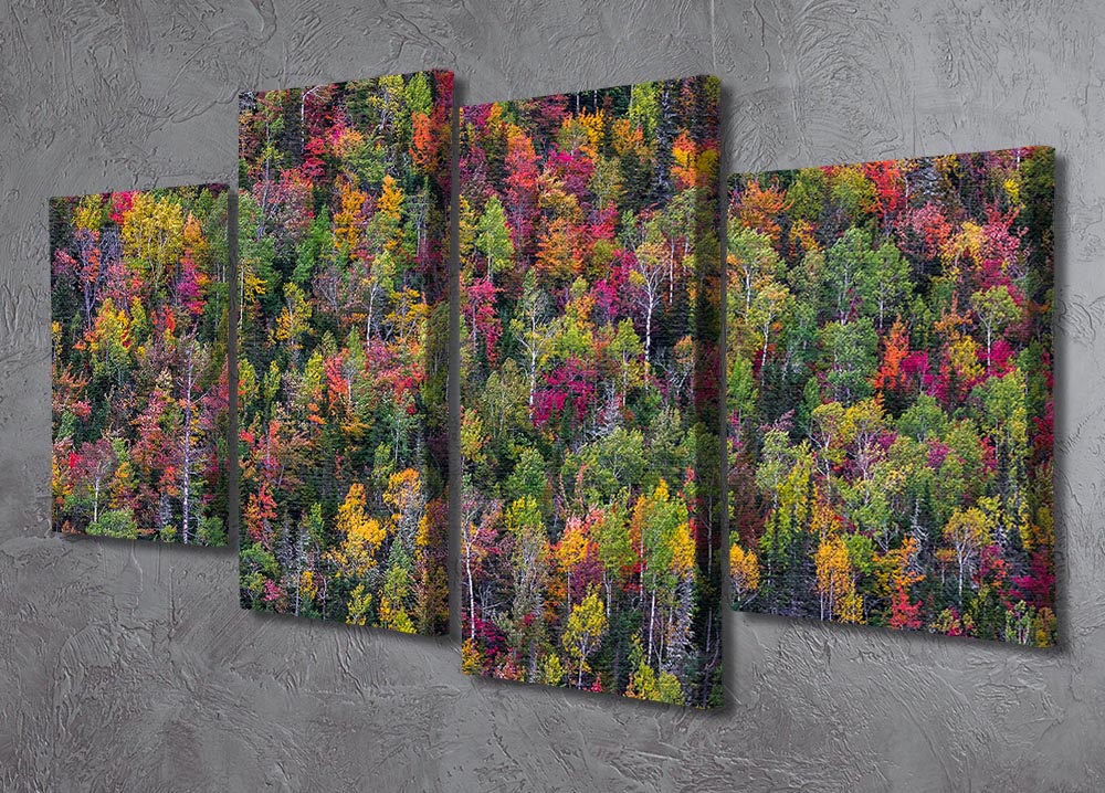 Color Palette 4 Split Panel Canvas artwork featuring vibrant colors and a dynamic design, divided into four equal sections for a multi-dimensional effect.