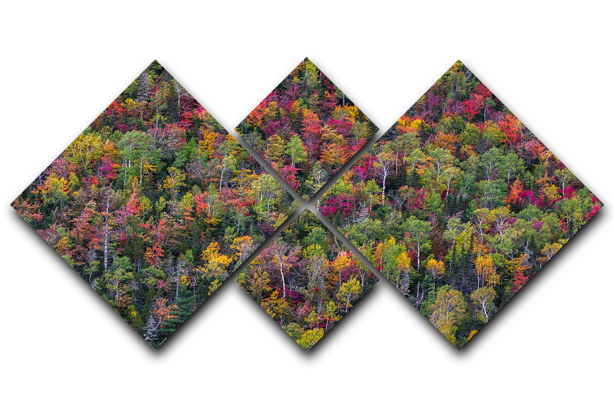 Color Palette 4 Square Multi Panel Canvas featuring four vibrant square panels arranged together, showcasing a harmonious design.