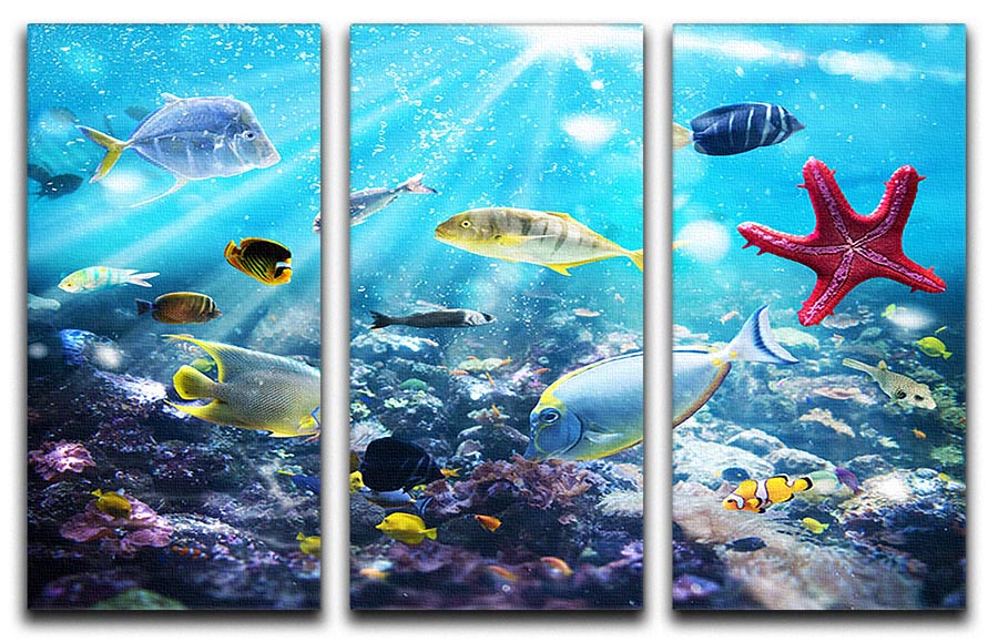 A vibrant 3-panel canvas art depicting colorful fish and marine vegetation under sunrays, perfect for home decor.
