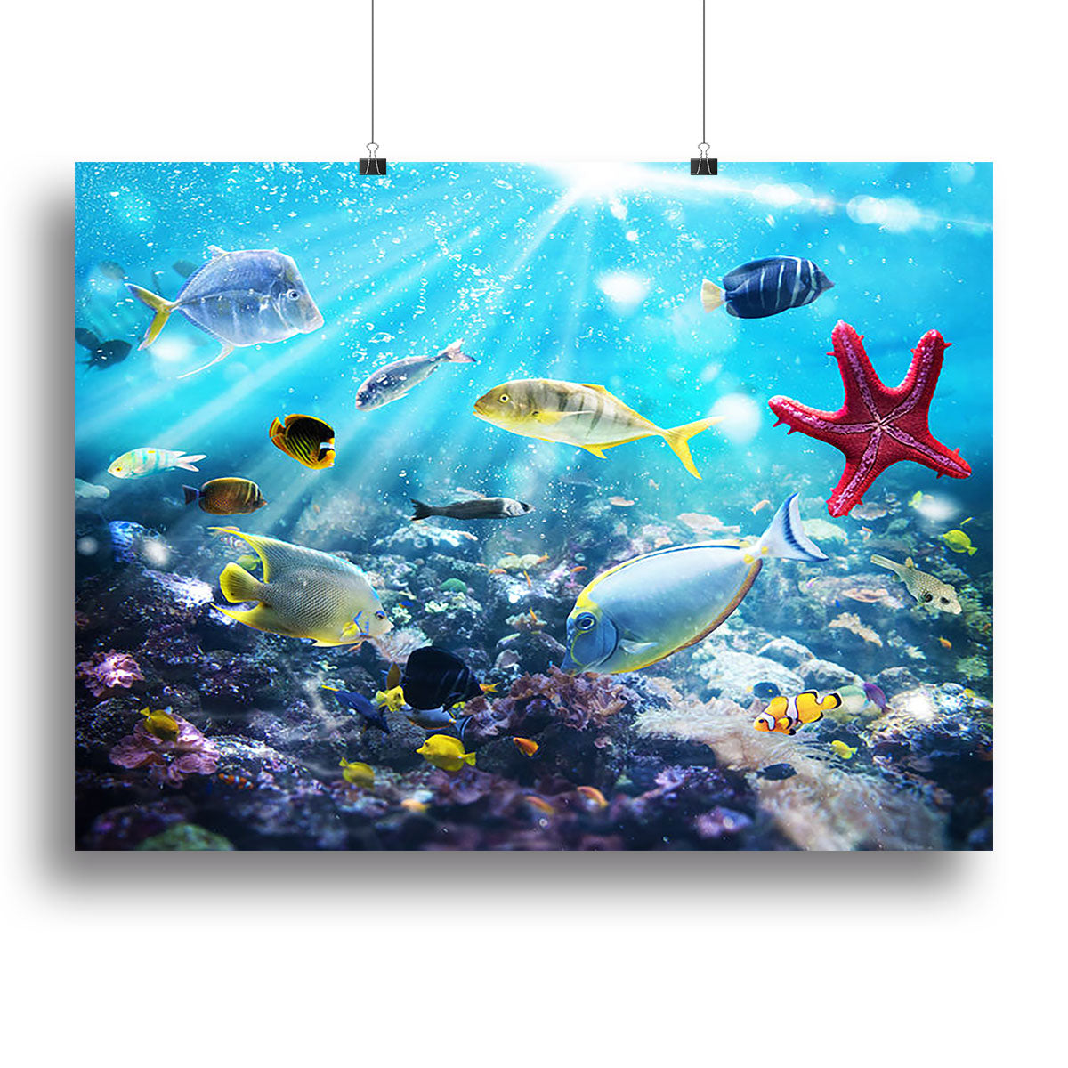 A vibrant canvas print featuring colorful fish and marine vegetation undersea, illuminated by sunrays, perfect for home decor.