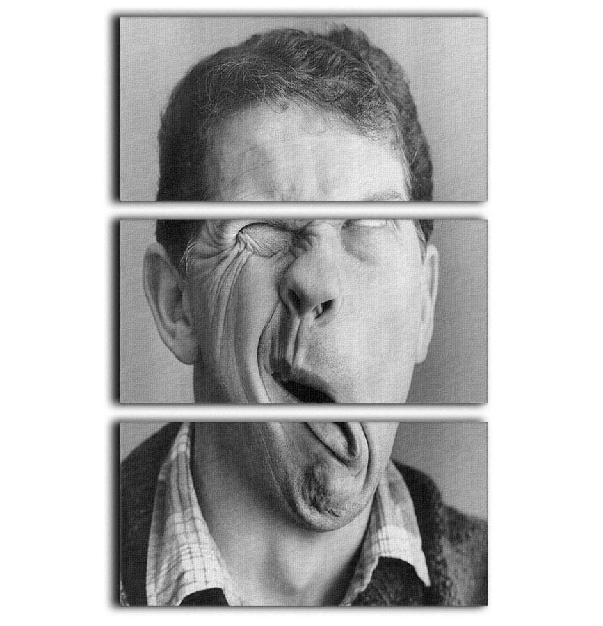 Comedian Phil Cool 3 Split Panel Canvas Print showcasing vibrant colors and captivating design, perfect for home decor.