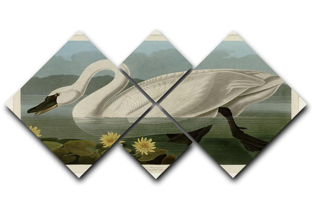 A beautiful 4-square multi panel canvas featuring the Common American Swan, showcasing its elegance and grace in a modern art design.