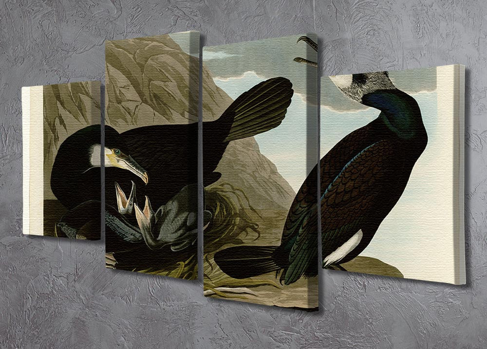 A beautiful 4-split canvas artwork featuring the Common Cormorant, showcasing vibrant colors and intricate details across four panels.