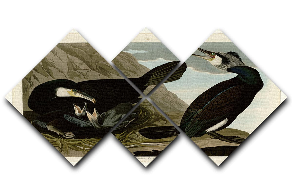 A beautiful 4-square multi-panel canvas featuring the Common Cormorant, showcasing vibrant colors and intricate details.