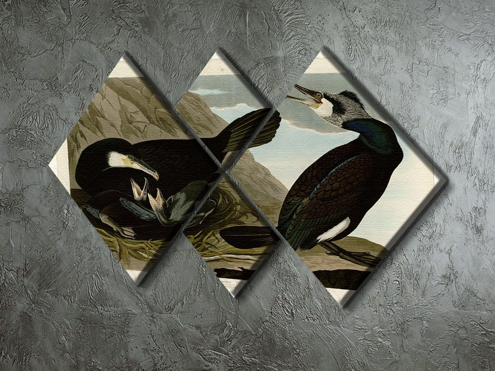 A beautiful 4-square multi-panel canvas featuring the Common Cormorant, showcasing vibrant colors and intricate details.