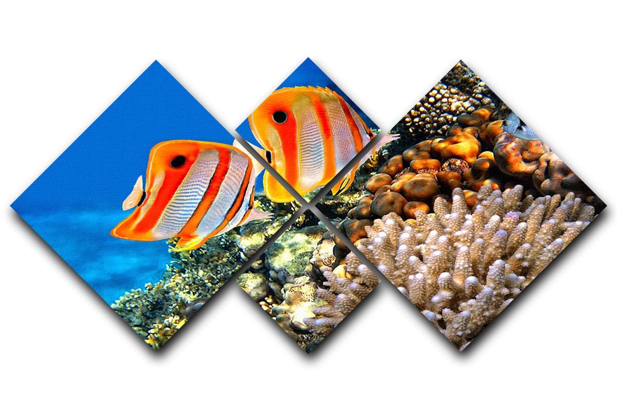 A vibrant 4-square canvas artwork featuring a coral reef and Copperband butterflyfish, showcasing marine beauty in a multi-panel design.