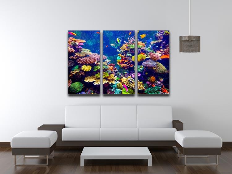 A vibrant 3-panel canvas print featuring a coral reef and tropical fish, showcasing colorful marine life in a stunning underwater scene.