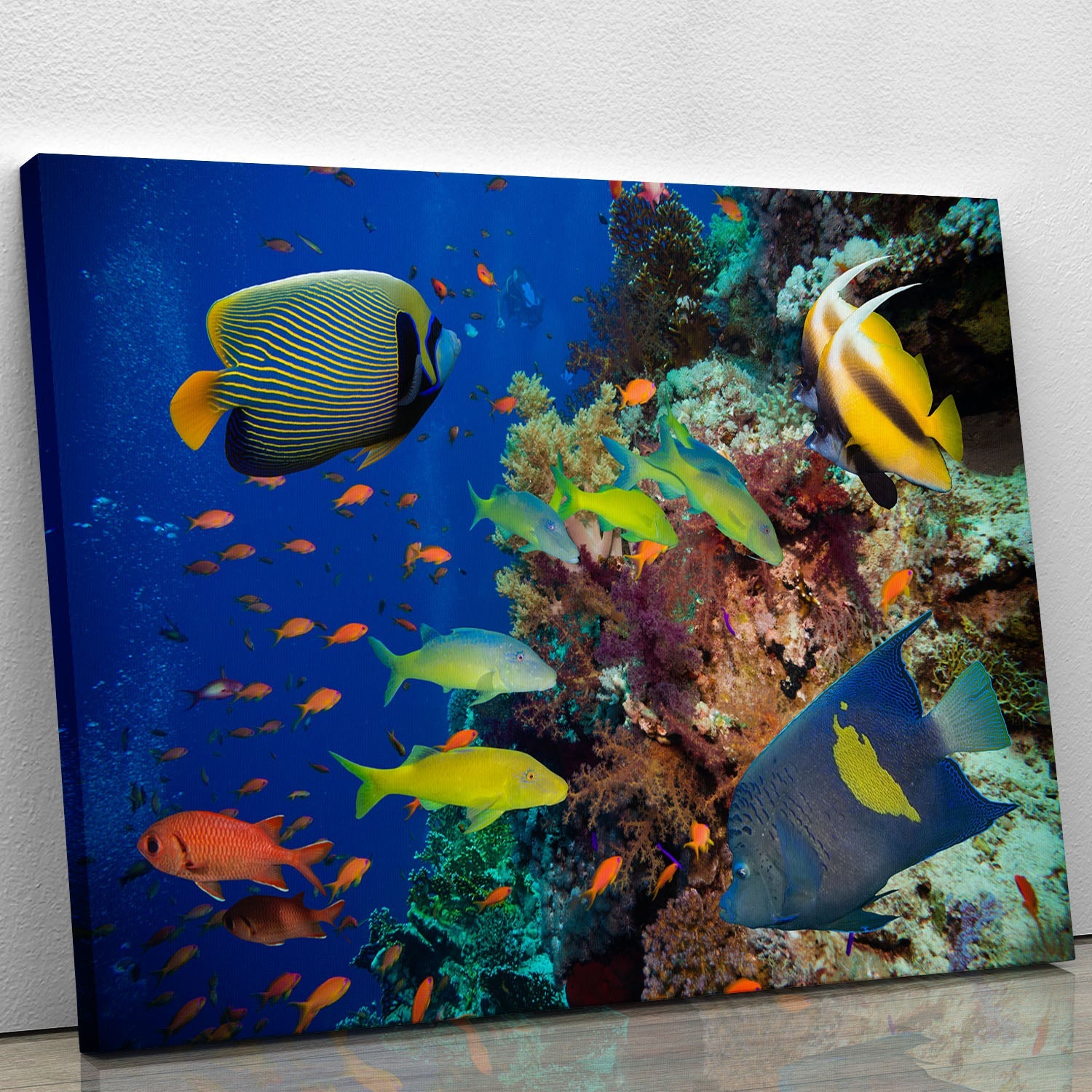 A vibrant canvas print of a coral reef in the Red Sea, showcasing colorful marine life and intricate coral formations.