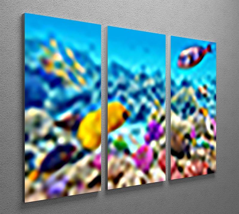 A vibrant 3-panel canvas print featuring corals and tropical fish, showcasing underwater beauty in rich colors.