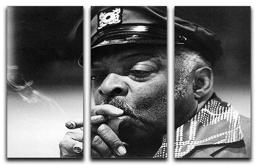 Count Basie 3 Split Panel Canvas Print featuring three elegant panels with vibrant colors and modern design, perfect for home decor.