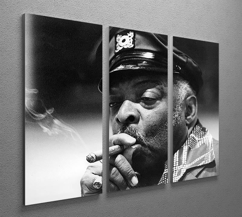 Count Basie 3 Split Panel Canvas Print featuring three elegant panels with vibrant colors and modern design, perfect for home decor.