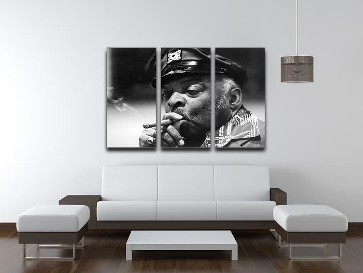 Count Basie 3 Split Panel Canvas Print featuring three elegant panels with vibrant colors and modern design, perfect for home decor.