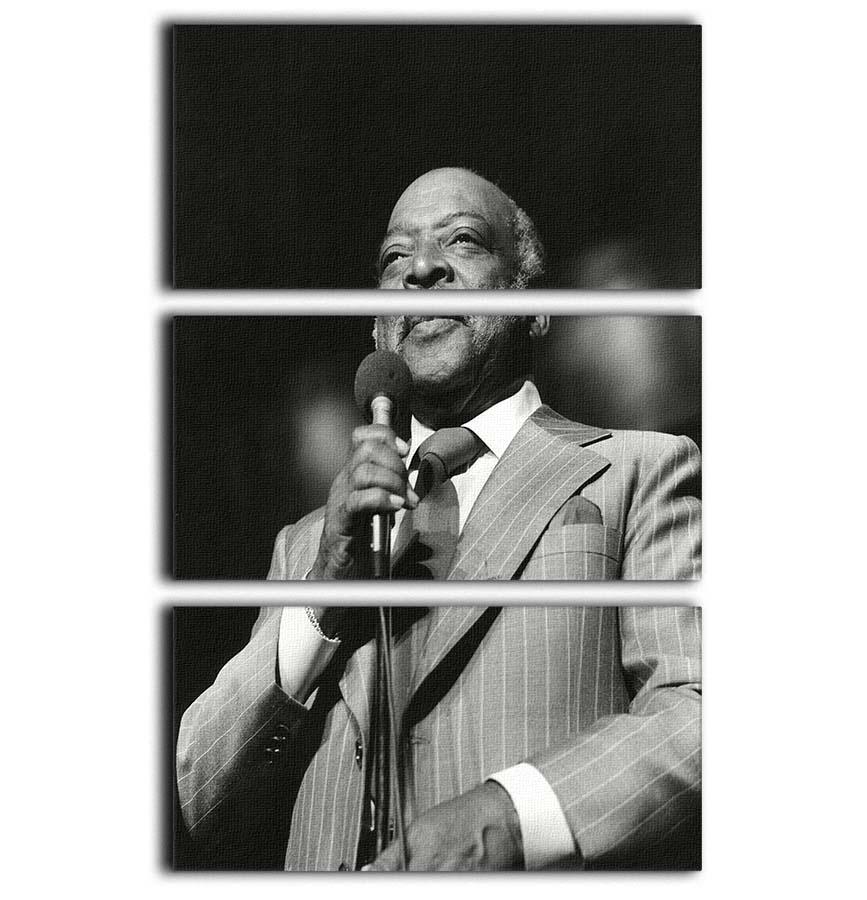 Count Basie performing 3-panel canvas print showcasing vibrant colors and elegant design.