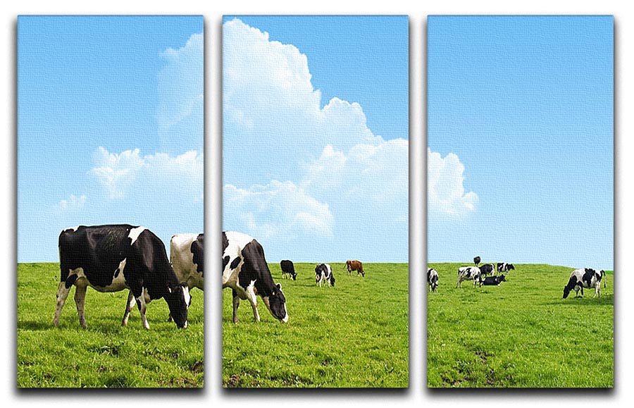 A beautiful 3-panel canvas print depicting cows grazing on a farm, showcasing serene rural scenery.
