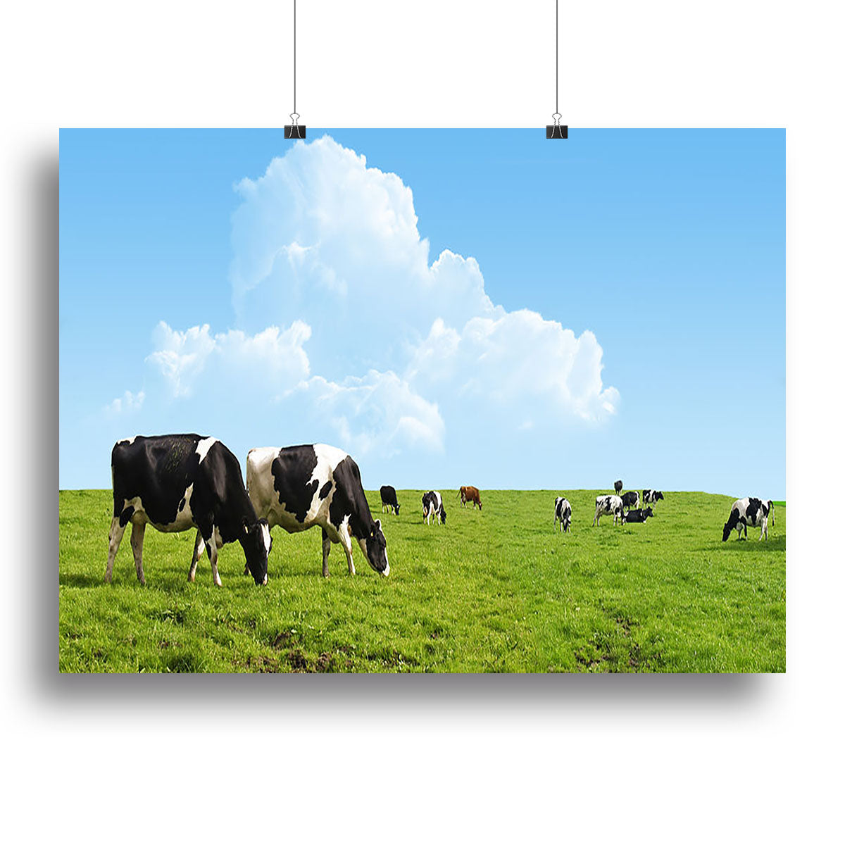 A beautiful canvas print of cows grazing in a lush green field, showcasing serene rural life.