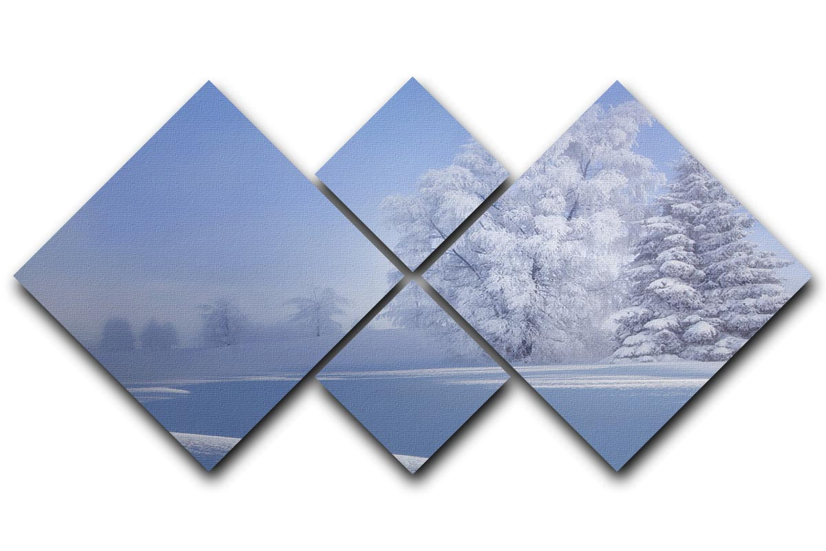 Crispy Morning 4 Square Multi Panel Canvas featuring a vibrant and harmonious design divided into four equal square sections.