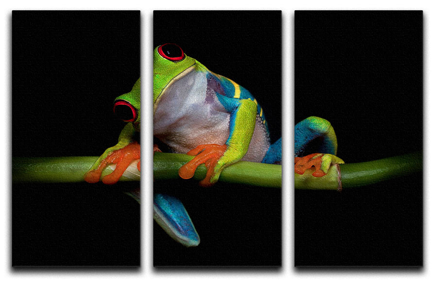 Curiosity 3 Split Panel Canvas Print featuring vibrant colors and captivating designs, perfect for enhancing any living space.