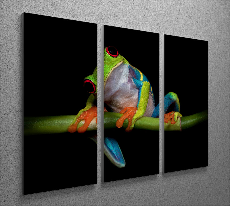 Curiosity 3 Split Panel Canvas Print featuring vibrant colors and captivating designs, perfect for enhancing any living space.