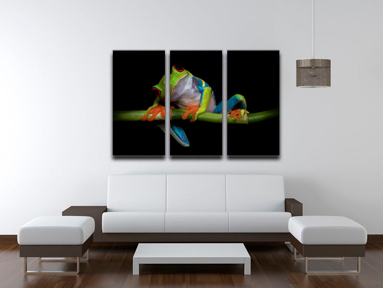 Curiosity 3 Split Panel Canvas Print featuring vibrant colors and captivating designs, perfect for enhancing any living space.